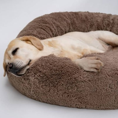 Coussin pour chien | Puffy™